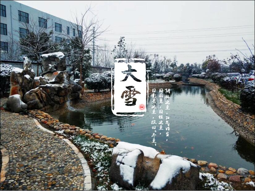 大雪已至，你那里“消白”了吗？