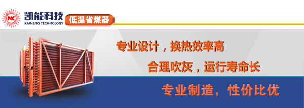 凯能科技低温省煤器专业制造